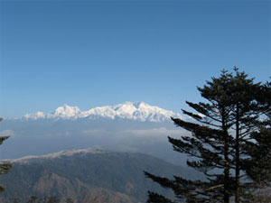Sikkim Sandakphu Trekking